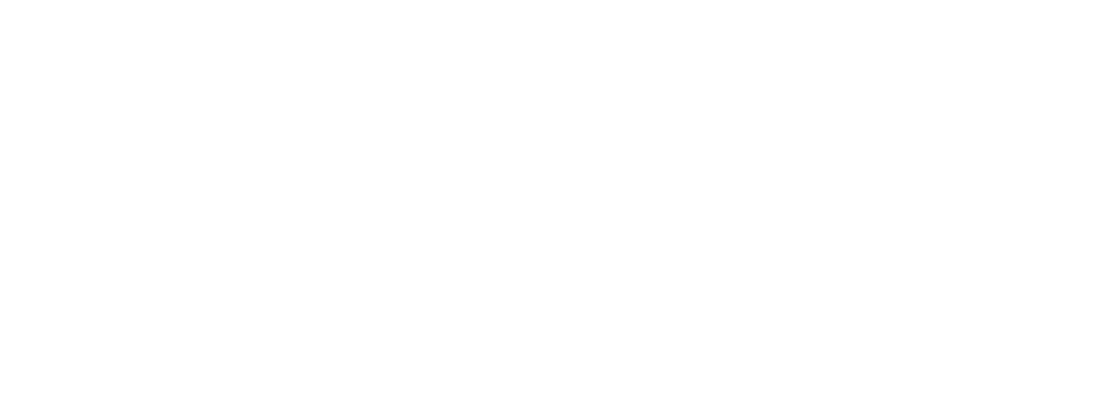 Logo UDEI